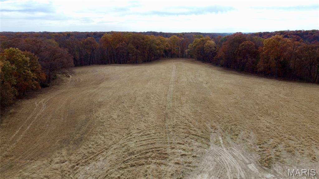Polston Farms - Farm