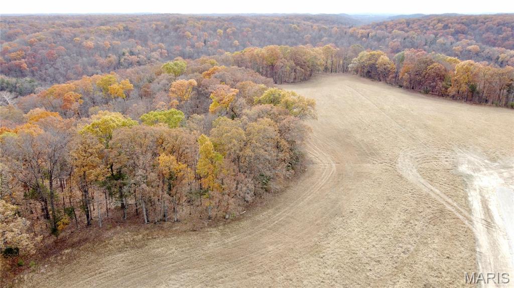 Polston Farms - Farm