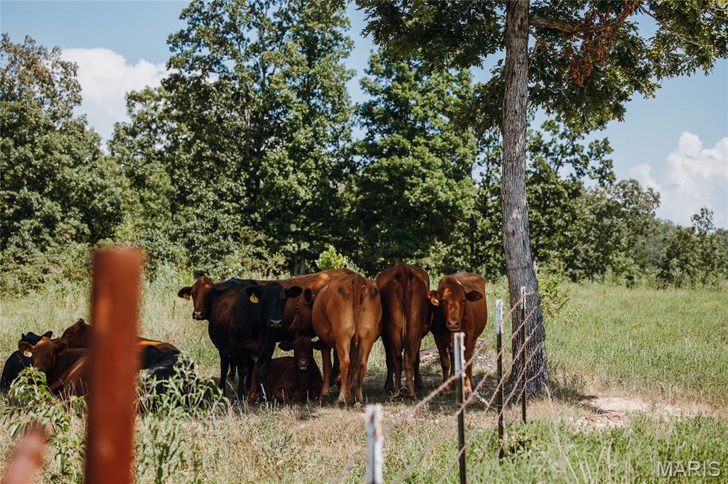 N/A - Farm
