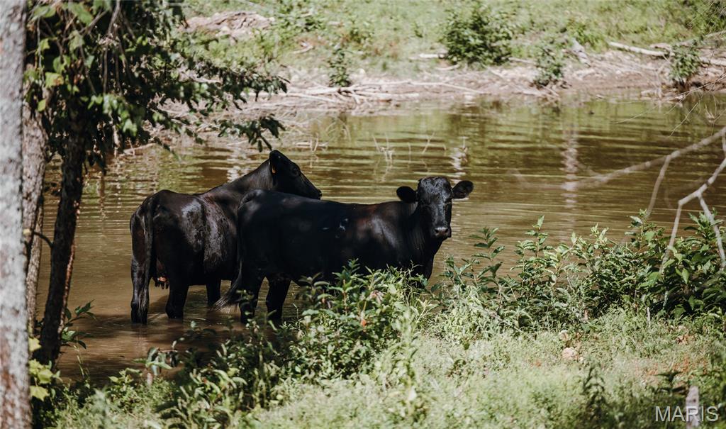 N/A - Farm