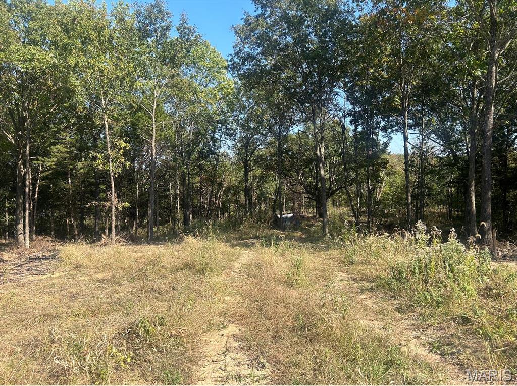 The Estates at Schaper Farms - Land