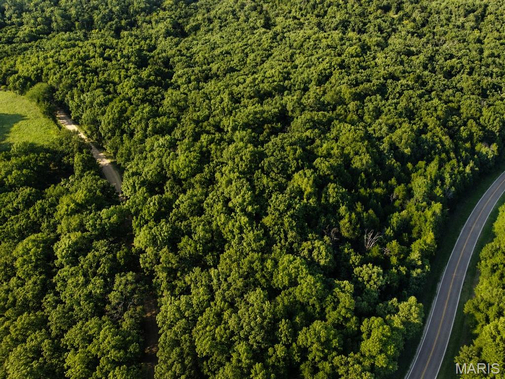 You don’t need 150 acres—you just need the "Right 15". This 15± acre wooded tract offers an appealing combination of accessibility, recreation, and potential homesite opportunities in a manageable-sized property. With excellent road frontage, convenient access, an established trail system, and a potential building site tucked among the timber, the property provides numerous possibilities for its next owner.

Step from a future residence or weekend retreat and be only minutes from your hunting setup. The wooded acreage provides habitat and recreational opportunities for whitetail deer, turkey, and other Missouri wildlife, while the existing trails help provide access throughout the property.

The tract also offers a blank slate for additional improvements. Maintain the property in its current wooded setting, enhance trails and wildlife habitat, explore timber-management opportunities, or investigate clearing a portion for a future homesite. Buyers should independently verify building requirements, utilities, timber value, and intended uses.

Conveniently located approximately 15 minutes from Linn, 25 minutes from Hermann, 45 minutes from Jefferson City, and 1.5 hours from the St. Louis area. The property also offers convenient access to Linn and State Technical College of Missouri.

Whether your goal is a homesite, hunting property, recreational retreat, timber ownership, or simply a manageable piece of Missouri ground, this could be The Right 15.