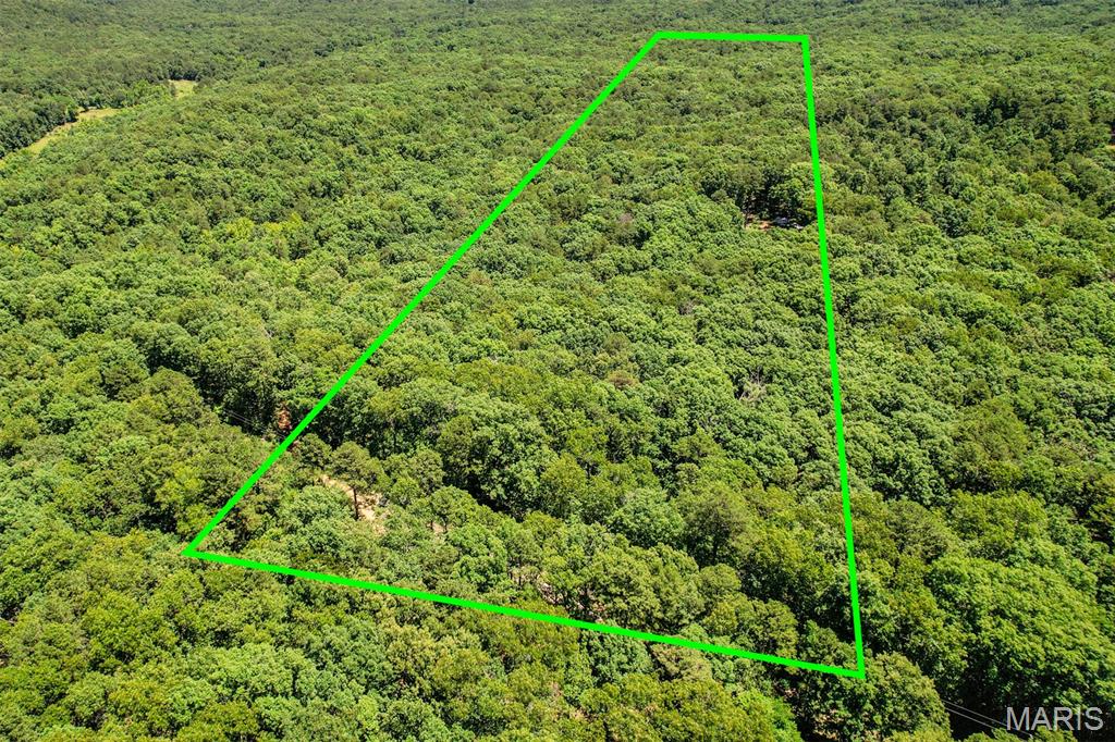 Discover the perfect blend of privacy, recreation, and natural beauty with this stunning 
10-acre property in Washington County, Missouri. Featuring mature pine and oak 
timber and gently rolling topography, this land offers both character and usability in a 
peaceful Ozark setting. 
Surrounded by Mark Twain National Forest and several nearby conservation areas, the 
property is a haven for outdoor enthusiasts. Abundant wildlife makes it ideal for hunting 
or nature watching, while multiple popular floating destinations are just a short drive 
away, offering easy access to some of the best rivers in the region. 
With no restrictions, this property is full of endless potential—whether you’re looking to 
build a secluded home, create a weekend getaway, establish a hunting retreat, or simply 
invest in land. Enjoy the freedom to make it your own while being immersed in the 
beauty and adventure that Washington County has to offer.