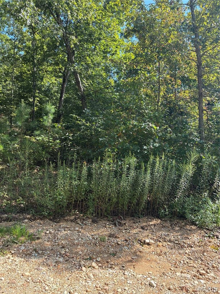 Raw land. Endless potential. Affordable acreage! Bring your vision and make this property your own. Whether you're looking for a place to build, invest, or simply enjoy some space, this acreage offers an opportunity to create something truly yours. Explore the possibilities!