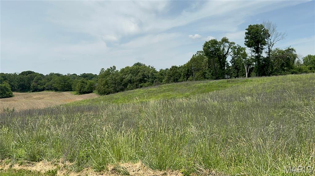 Vineyard Estates At Old Jamestown - Land
