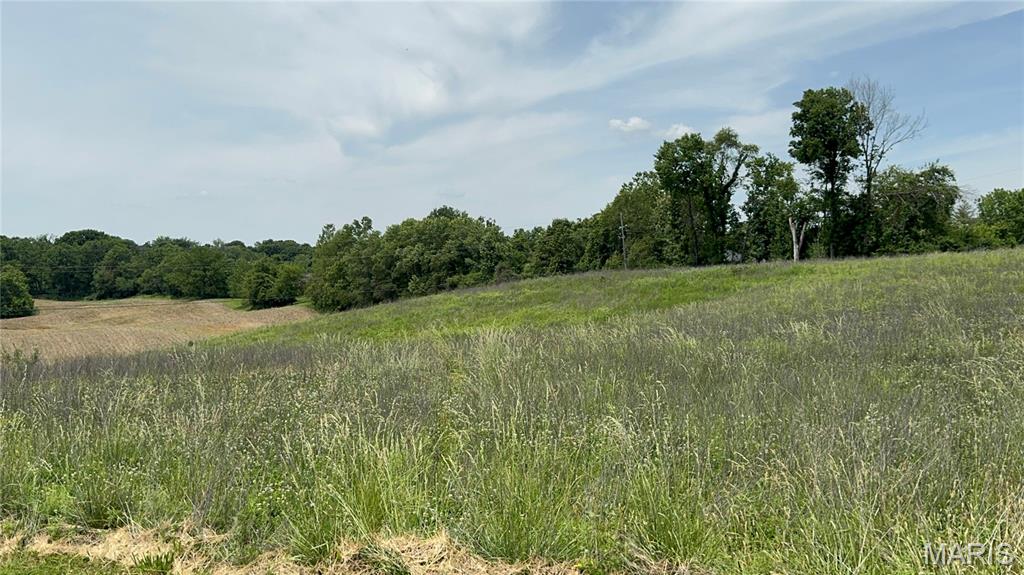 Vineyard Estates At Old Jamestown - Land