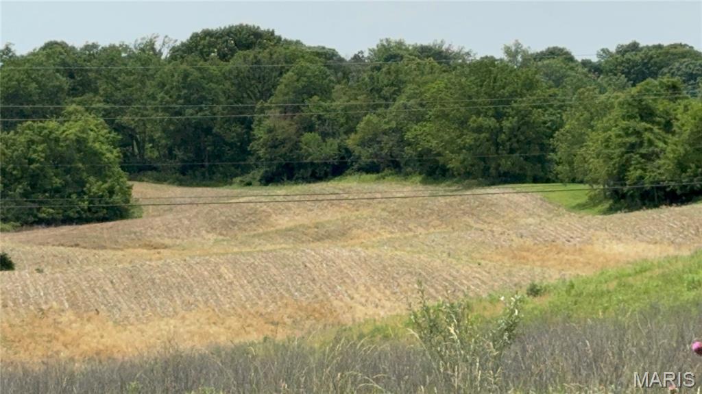 Vineyard Estates At Old Jamestown - Land