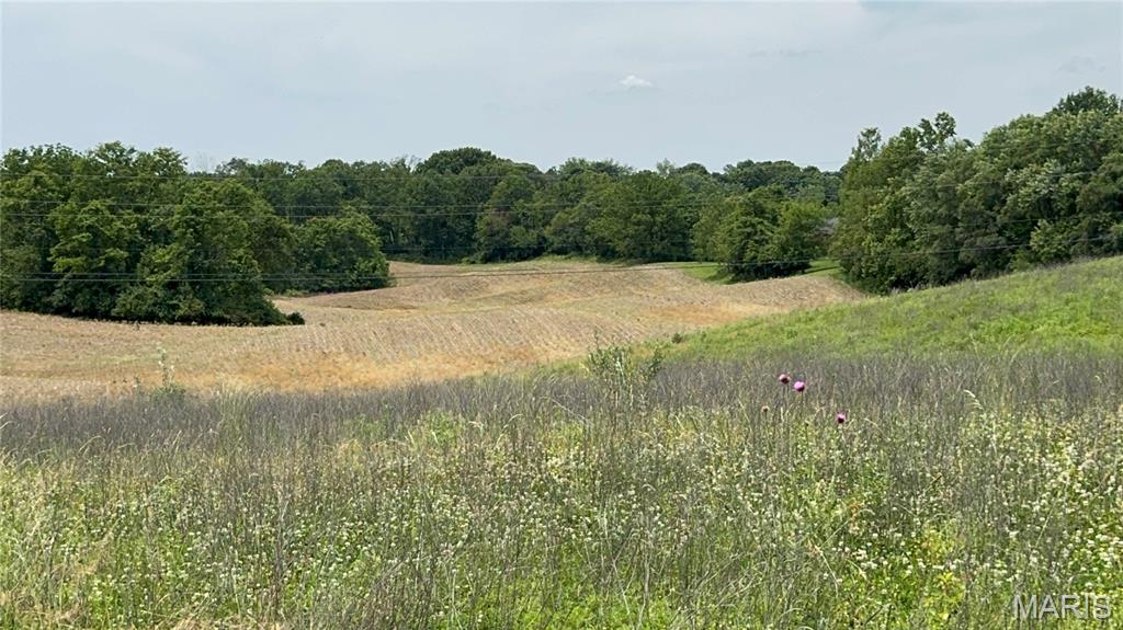 Vineyard Estates At Old Jamestown - Land