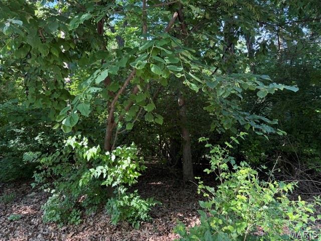 Castlewood Camp - Land