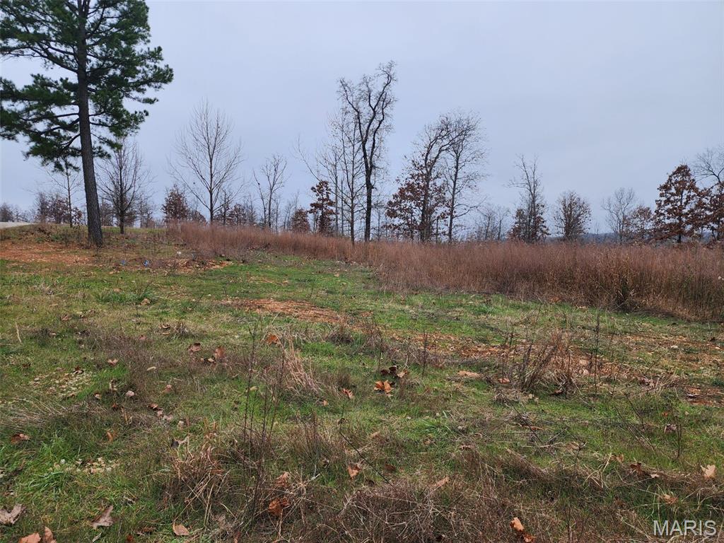 Perfect spot for your dream home with a countryside view.  This 2.3 acre lot is approximately 2.5 miles down Hwy. 28 just minutes from St. Robert and Ft. Leonard Wood.  Water, sewer and electric are all in place and remaining part of the road is to be paved in the near future.