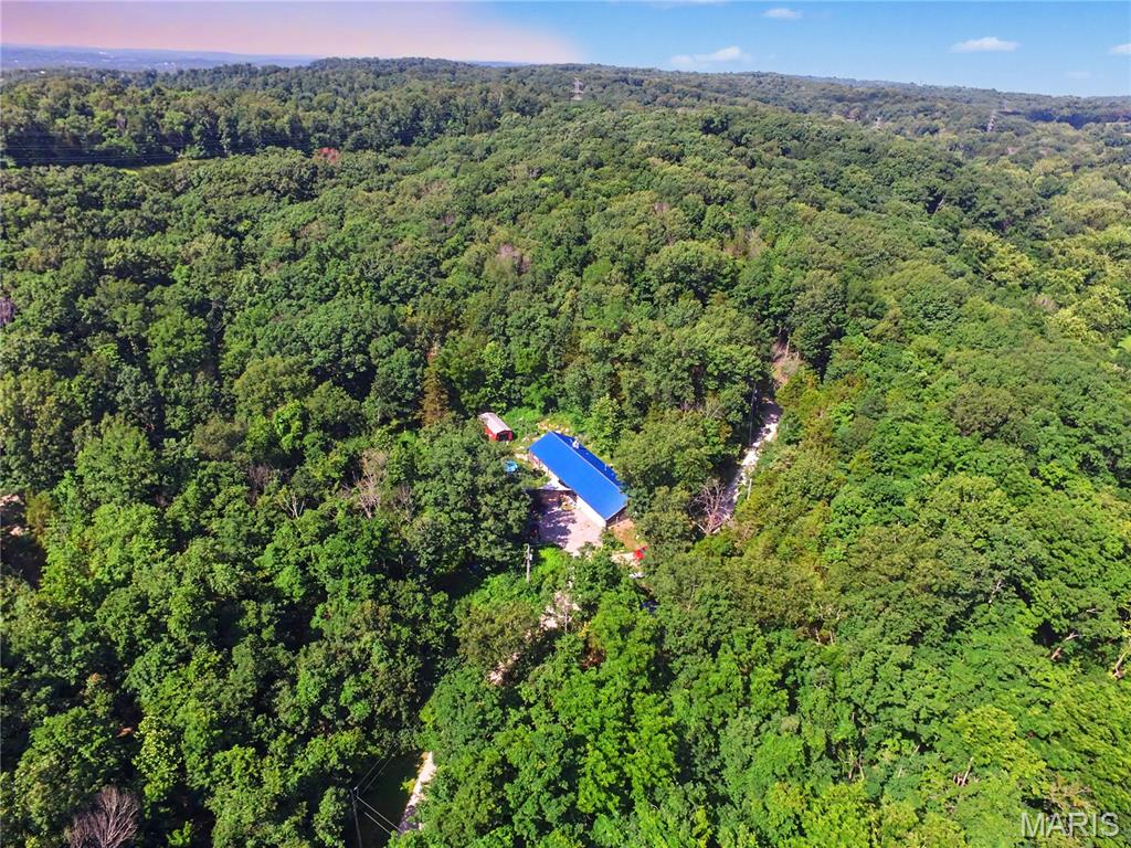 TREE TOP - Residential