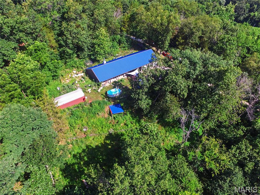 TREE TOP - Residential