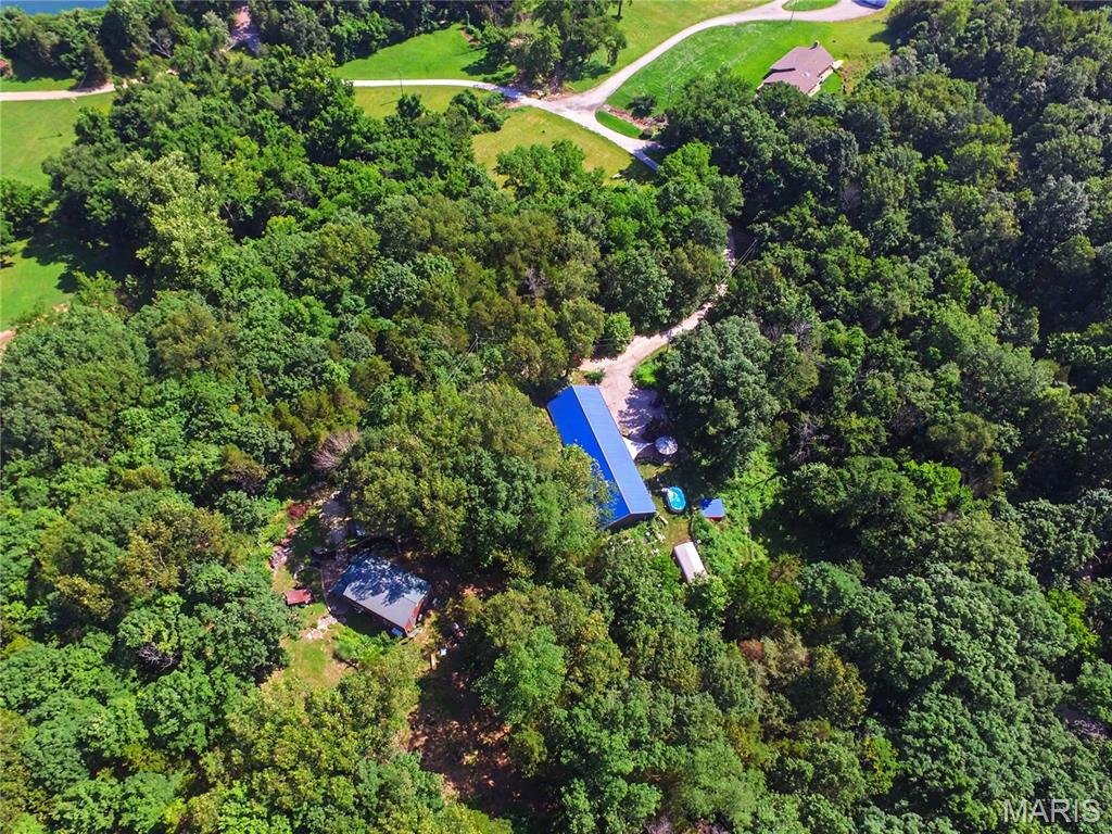 TREE TOP - Residential