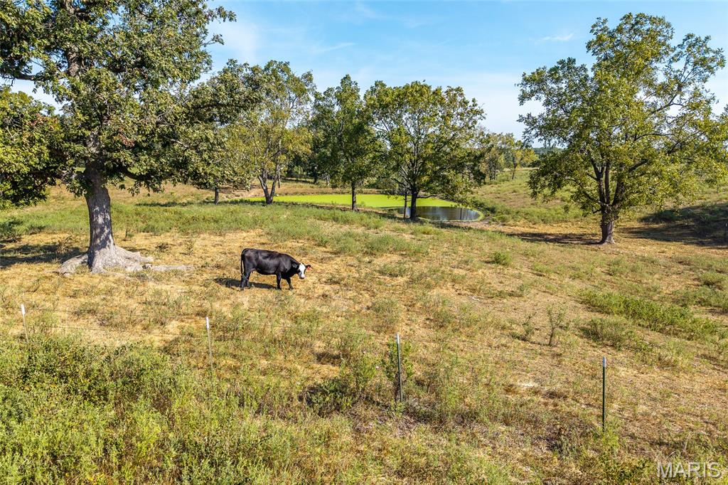 Rural - Land