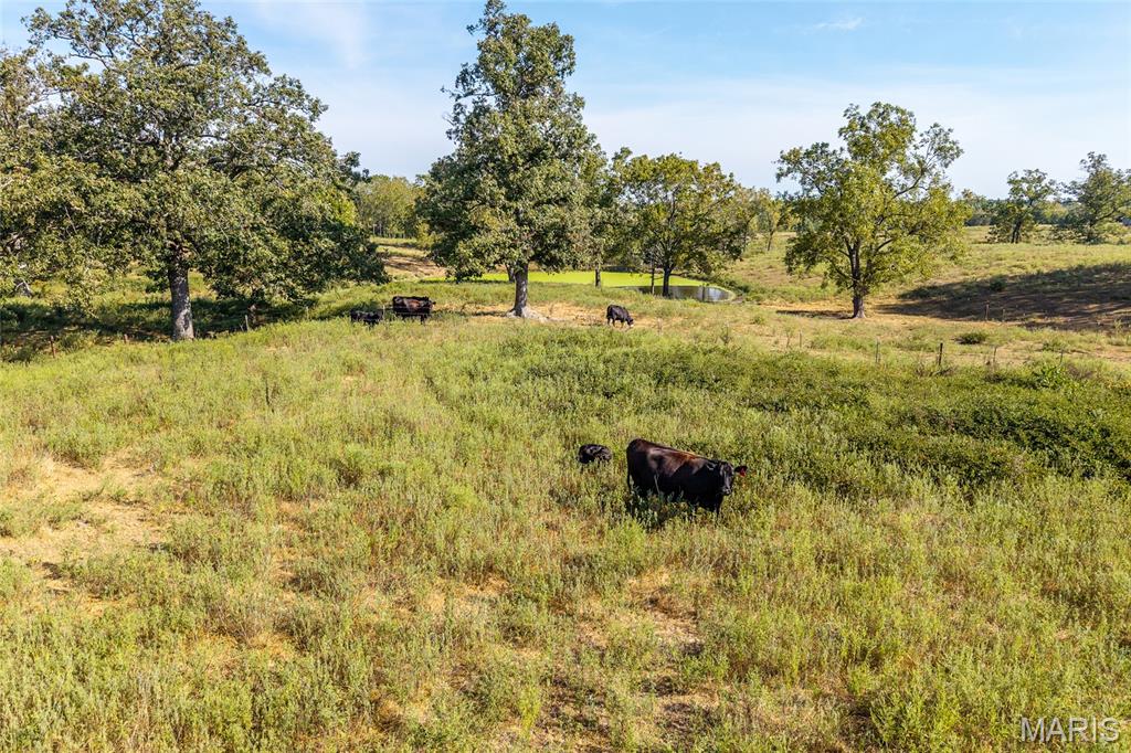 Rural - Land