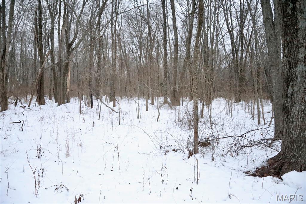 none - Land