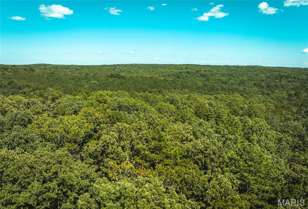 Peterball & Ferrill spring surround this 32 acres of Ozark foothills paradise. This property is surrounded by mark twain national forest on all four sides making it a needle in a hay stack. Peterball spring rolls right into the southwest corner of the property and the seller has spent extensive time and money making a trail and nice damn across the creek. It is absolutely gorgeous in the spring and summer when it is pouring over the damn. There is a 40x40 pole barn with a concrete floor and a camper included as well as 12 roll up doors and one storage area in the barn. There is a fire pit right out front for a great place for cooking smores or warming up after a hunt. If you are looking to be secluded and off grid with no neighbors in site this is the place for you. There are two nice deer blinds with tinted windows that are fully enclosed and are great for  turkey and deer hunting. The area is also known for the occasional black bear and even mountain lions. There are a few nice food plots and fields where you can sit and watch deer and turkey and hear the spring roll by in the background. Plenty of ridges and hilltops that other wooded stands could be added to hunt. A mature stand of timber lives here So many county roads for trail riding and forest service roads. Property is about 10 miles from Salem that has Walmart and other big name stores for camp needs The barn has solar for its electric. The bottom fields have been planted in wild flowers before and it makes an amazing site in the spring an d the summer with the spring running nearby. The current river and Montauk Park are nearby as well as other floating and fishing opportunities. Come take a look at this Ozark Gem.