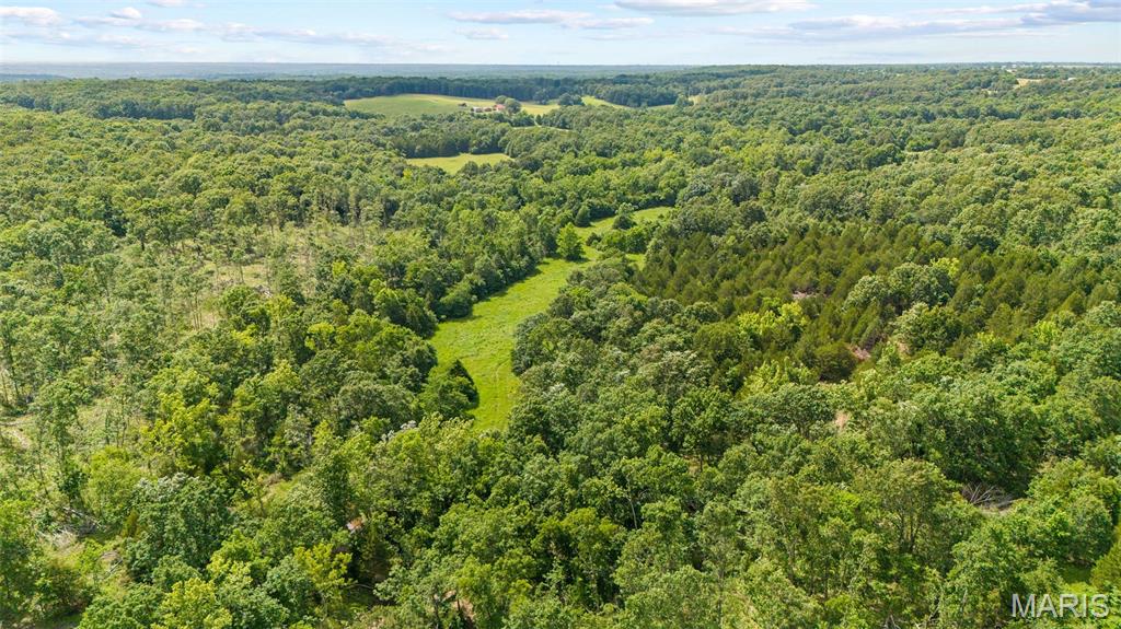 Discover the perfect blend of seclusion, recreation, and convenience with this beautiful 42.85-acre property just a few miles outside of Eldon and only 20 minutes from the Lake of the Ozarks. Tucked away in a peaceful setting and located just one minute off Highway 52, this tract offers easy access while maintaining the privacy and tranquility of country living.
A scenic creek-bottom field winds through the property, creating an attractive landscape and excellent habitat for wildlife. Whether you’re searching for a prime hunting tract, a weekend getaway, or the ideal location to build your dream home, this property has the versatility to fit your vision.
With a mix of open ground, natural beauty, and abundant recreational opportunities, you’ll enjoy the best of rural Missouri while remaining close to town and lake-area amenities. Properties of this size and location are becoming increasingly difficult to find—don’t miss your opportunity to make this one your own.

Property Highlights:

42.85 acres near Eldon, MO
Only 20 minutes to the Lake of the Ozarks
Beautiful creek-bottom field running through the property
Excellent hunting and recreational opportunities
Ideal building sites for a home or cabin
Just one minute from Highway 52
Convenient access with a private, country feel
Whether you’re looking to hunt, build, or simply enjoy the outdoors, this property offers endless potential in a highly desirable location