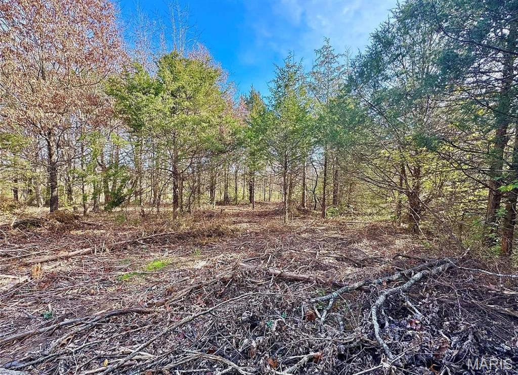 White Oak Estates - Land