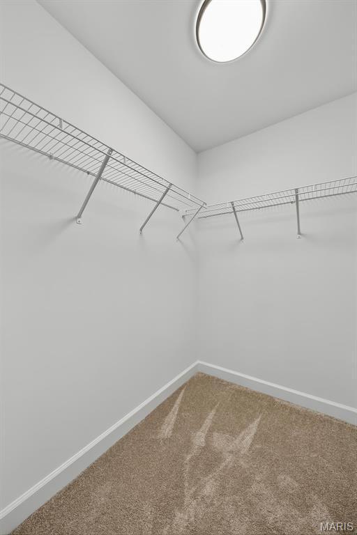 Springhurst Terrace #4 - Residential