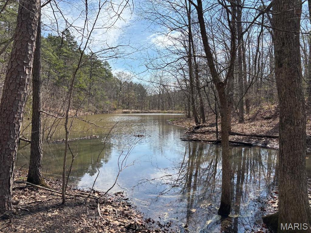 44.72 Acres (+/-) with nice pond! Very private setting. Great recreational property or build your retreat. Nice hardwoods with some pine trees. More land is available. Location is just outside of Potosi. Nice drivable trails thru out property. Great weekend getaway property. NOTE: Highway 8 takes you to the private road where the property is. Identified as Tract 1 on sketch in supplements. NOTE: Sellers are currently working with Ameren to have electric run along road. A parcel ID & tax amount will be determined by Assessor after a closing. A 911 address will be assigned (if requested) after closing). NOTE: Duplicate Land & Lots Listing #26022361.