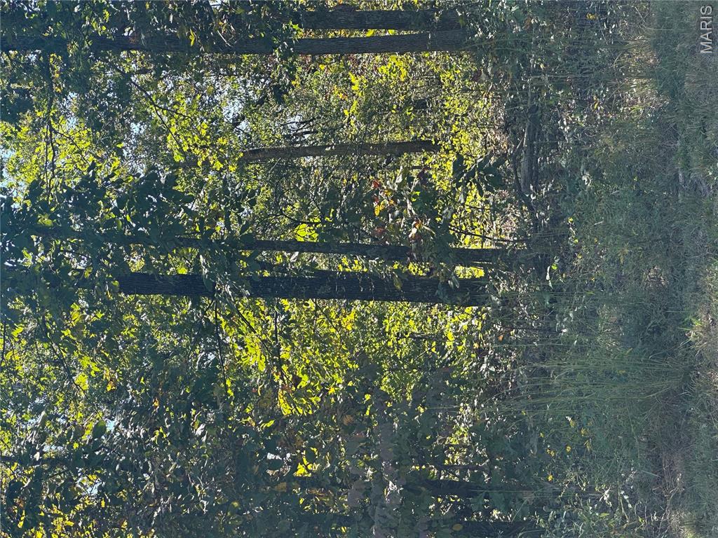 Very nice 17.3 wooded acres just minutes from Doniphan. Property has water, electric and phone accessible to the property. Nice pond, good building spots, property is partially fenced. Plenty of wildlife to go hunting on. Call to see this property.