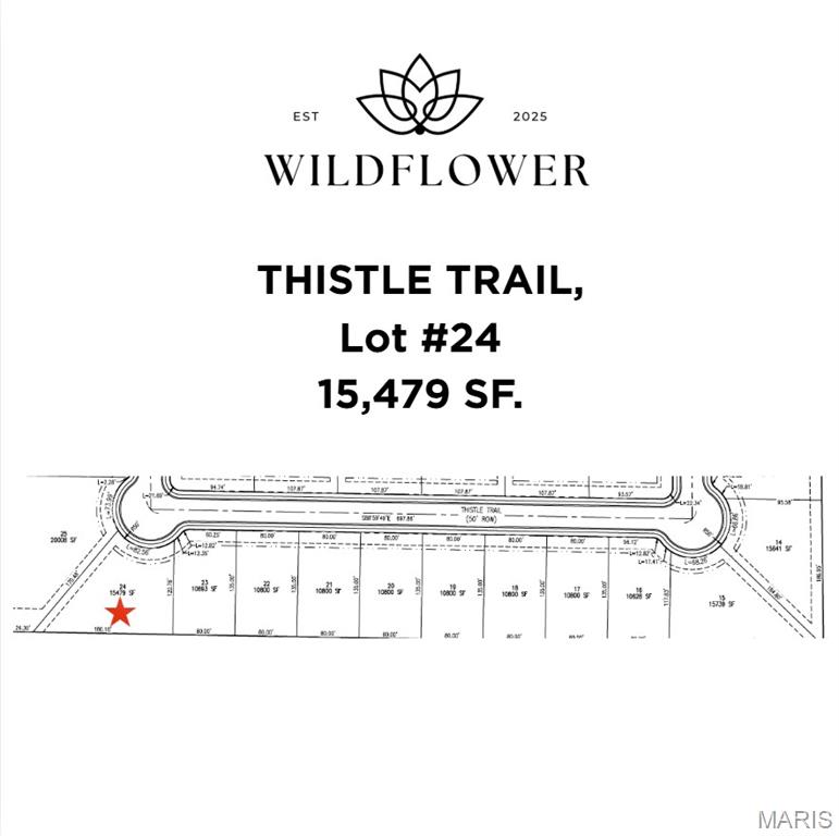 Wildflower - Land