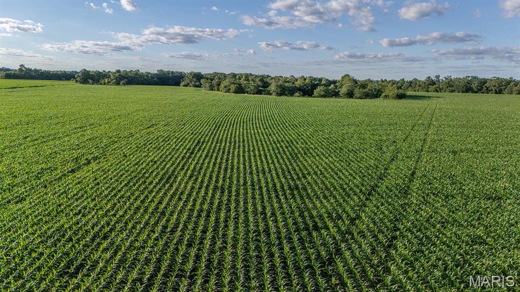 N/A - Farm