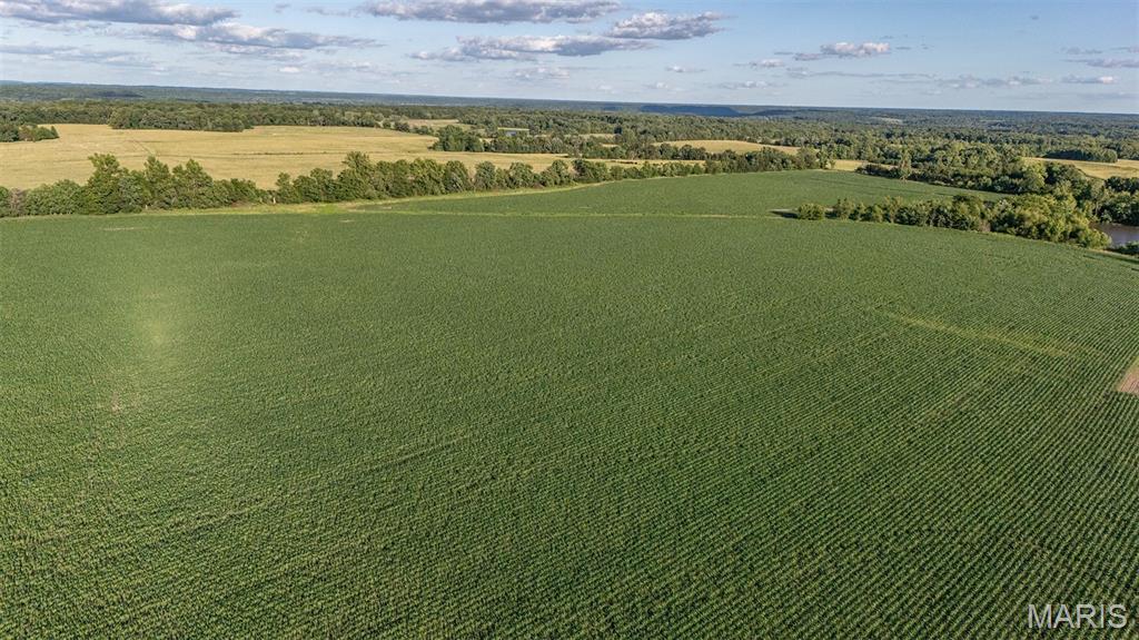 N/A - Farm