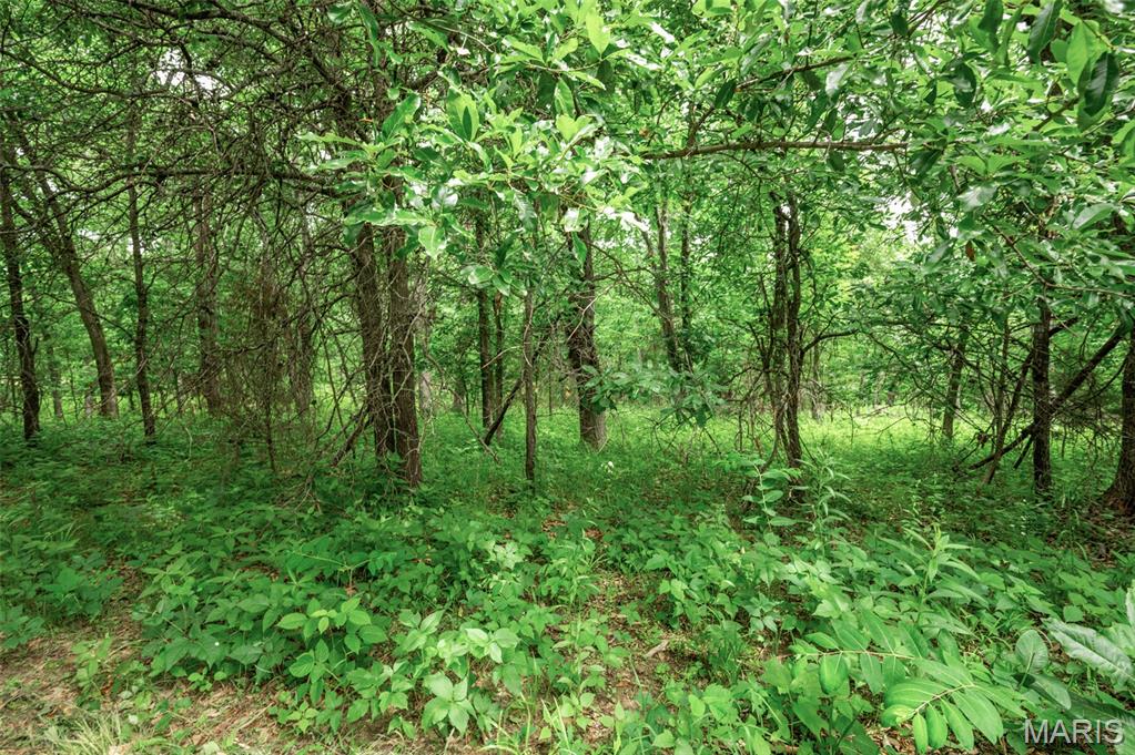Halyon Estates - Land