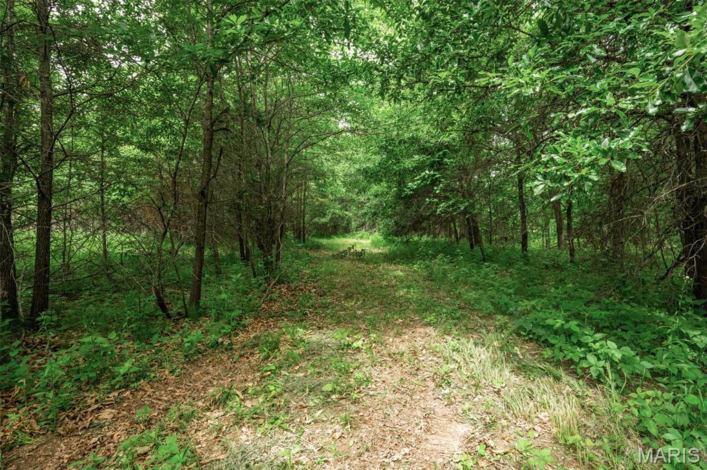 Halyon Estates - Land