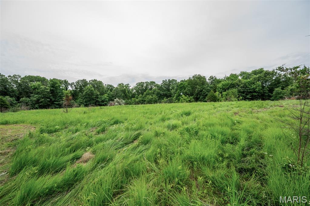 Halyon Estates - Land