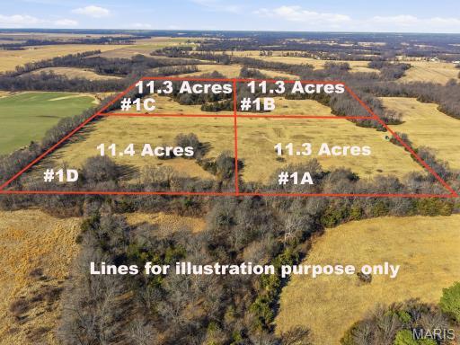 Come check out this secluded, undeveloped land with no restrictions. Multiple tracts available. Surveys have already been completed with road and utility easements. Approximately 3 miles outside of Mexico on Highway FF and Audrain Rd. 935 and approximately 20 minutes from Columbia.