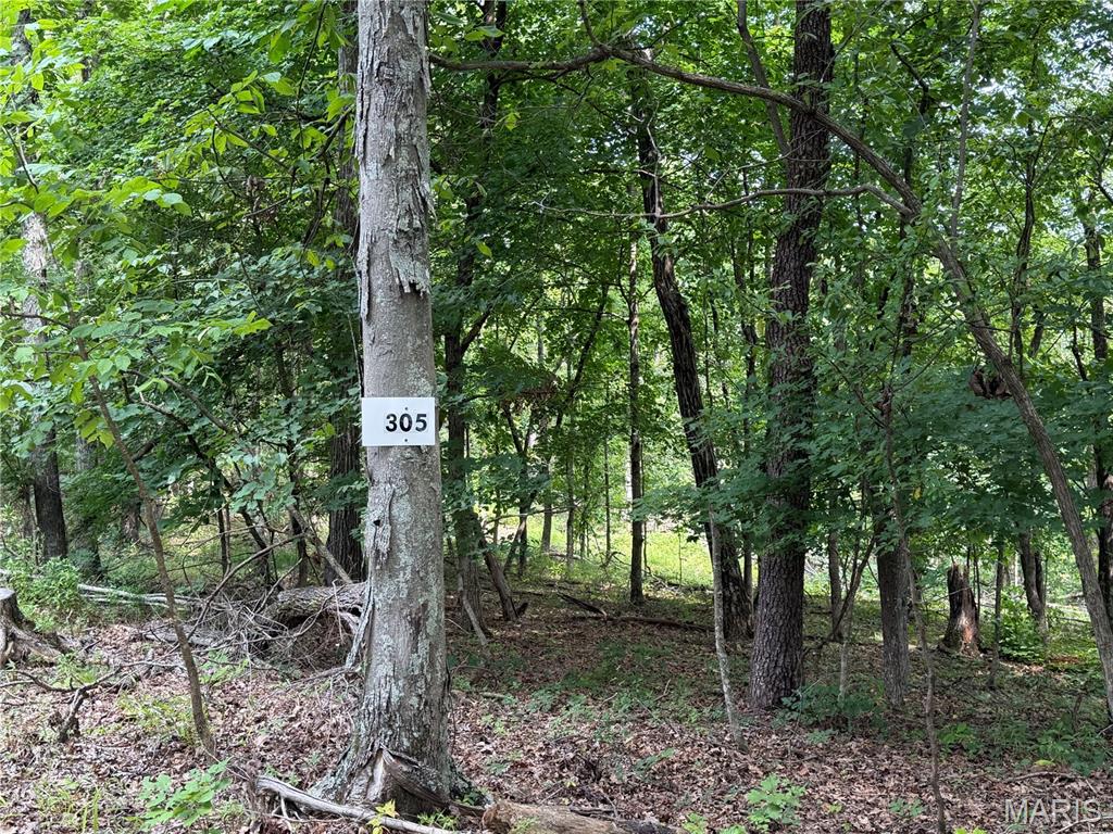 Discover the beauty, freedom, and tranquility of the Missouri Ozarks with these exceptional land offerings located south of Fredericktown, just off Highway 67 and near the Mark Twain National Forest. With multiple tracts and a variety of acreage options available, there is an opportunity to find the perfect piece of land to fit your vision. The nearby Mark Twain National Forest offers more than 22,000 acres of public land to explore, adding even more opportunity for outdoor adventure and recreation.
Many of these affordable wooded pieces offer beautiful natural surroundings, with select tracts featuring creek access, springs, and scenic views of the surrounding Ozark landscape. With no restrictions, you have the freedom to enjoy your property your way—whether that means hunting, primitive camping, building, riding ATVs, or simply finding a peaceful place to escape the pressures of everyday life. These tracts also offer access via a deeded easement gravel road leading from the county road to the property, while nearby Twelve Mile Creek provides additional opportunities to fish, explore, and enjoy the outdoors.
This is your chance to unplug, reconnect with nature, and enjoy the freedom and beauty of the great outdoors in Southeast Missouri. Whether you're searching for a private hunting retreat, a weekend getaway, a place to camp and explore, or land to create your own outdoor escape, there are many amazing tracts to choose from. Call today for more information and to explore the available options!