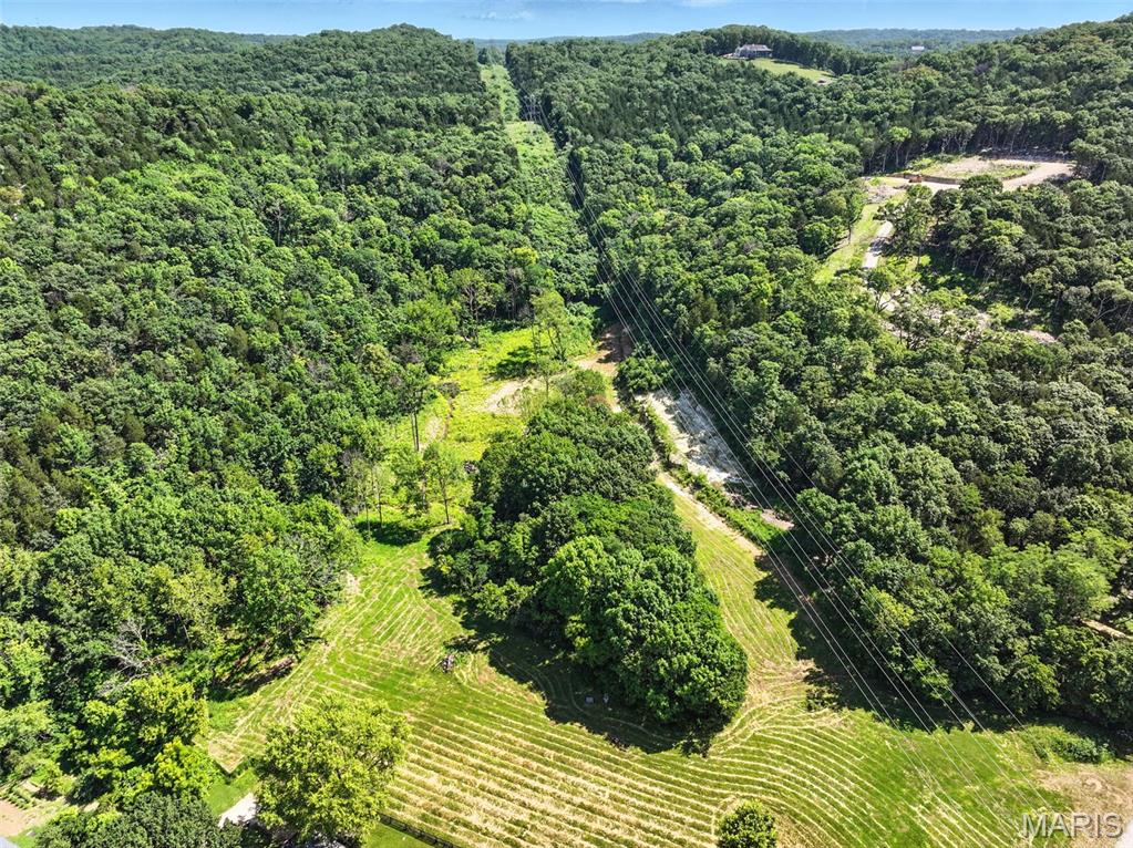 Seven Springs - Land