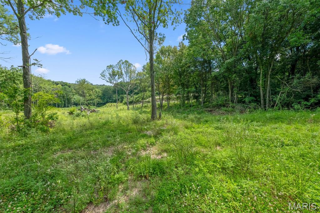 Seven Springs - Land