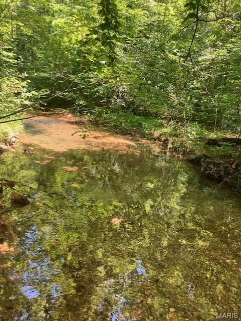 This 5.449 acres has deeded gravel road access, a small spring-fed stream running along one boundary, and sits only a few hundred yards from Mark Twain National Forest.
It's a hunting or homesteading paradise. Or use is simply as a great home or cabin or camping site.
You'll have a deeded access road to the property. This secluded valley oasis comes with NO restrictions.
Hunt, camp, build, ride ATVs on your own land, or just a short hike or drive and you'll be in the picturesque and pristine 22,176-acre section of Mark Twain National Forest ... public ground where you can also hunt, ride and explore. All this, and only about two miles a paved state road. 
Use this wooded, secluded property as a base camp for adventure or build your forever home and live out your days in secluded bliss. This and surrounding land is teeming with deer, turkey and small game, and the occasional feral hog or maybe a black bear. There is additional acres available which adjoin this piece if interested.