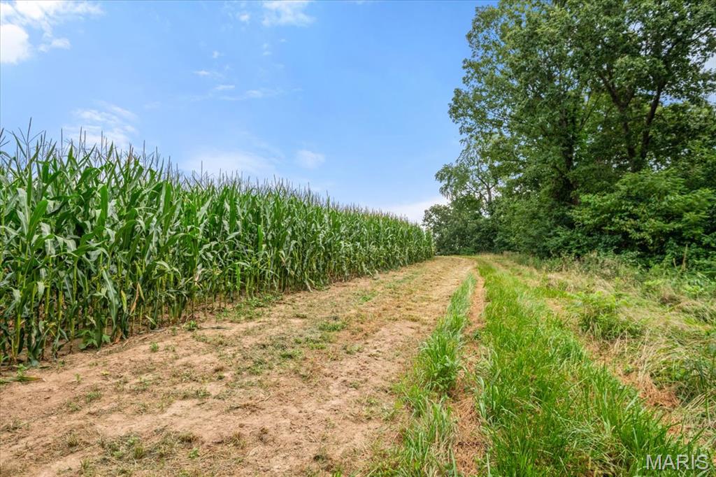 n/a - Farm