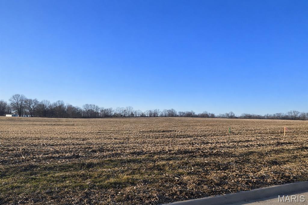 Build your dream home on this beautiful 2.23 +/- acre lot located just on the northern outskirts of Troy. Enjoy the perfect balance of a peaceful rural setting with the convenience of being minutes from shopping, dining and everyday amenities.This property offers the rare advantage of city sewer, city water, and natural gas making it an ideal and cost-effective  homesite. A great opportunity to create your custom home with space, privacy, and modern utilities already in place! Call today to receive a copy of the building restrictions and to schedule a personal tour of Lot #1!