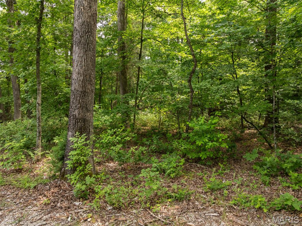 Discover your own private retreat just one hour west of St. Louis on this outstanding 2.29-acre homesite in the highly desirable Innsbrook Resort community. Situated near a quiet cul-de-sac, this property offers exceptional privacy surrounded by mature hardwood forest. During the summer months, the trees create a peaceful, wooded setting, while winter brings beautiful long-distance views across the surrounding ridge tops. The gently sloping landscape leads toward a charming wet-weather creek at the back of the property, adding to the natural character of the lot. Paved roads provide easy access and utilities are available for convenient connection. With no required building timeline, you have the flexibility to build when the time is right or simply hold the property as an investment for the future. Building guidelines and restrictions do apply. Enjoy the many amenities of Innsbrook, including a boat launch on the resort’s largest lake just minutes away, along with nearby hiking trails and outdoor recreation. Secure your piece of this scenic community today and begin envisioning the home you’ve always wanted.