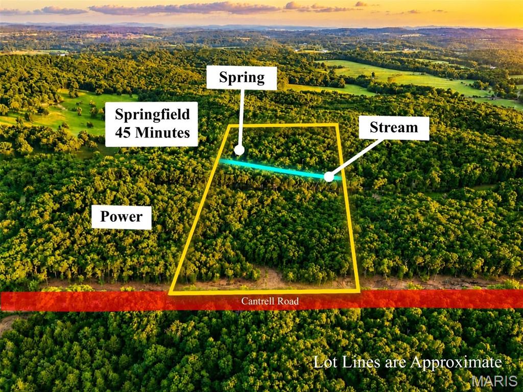 Affordable 10-acre Ozarks tract with power already installed! Natural rolling terrain and elevation changes create an excellent opportunity for a walkout-basement home, cabin or recreational retreat. Property features a seasonal spring/stream, mature timber, established paths, selective clearing and approximately 333' of Cantrell Rd frontage with driveway and culvert installed. Excellent deer and turkey hunting with hundreds of surrounding acres of hunting ground and cattle pasture. Locally known as a great area for foraging wild edible mushrooms. Just minutes from Mansfield and Hwy 60 and approximately 45 minutes to Springfield. Owner financing available.
