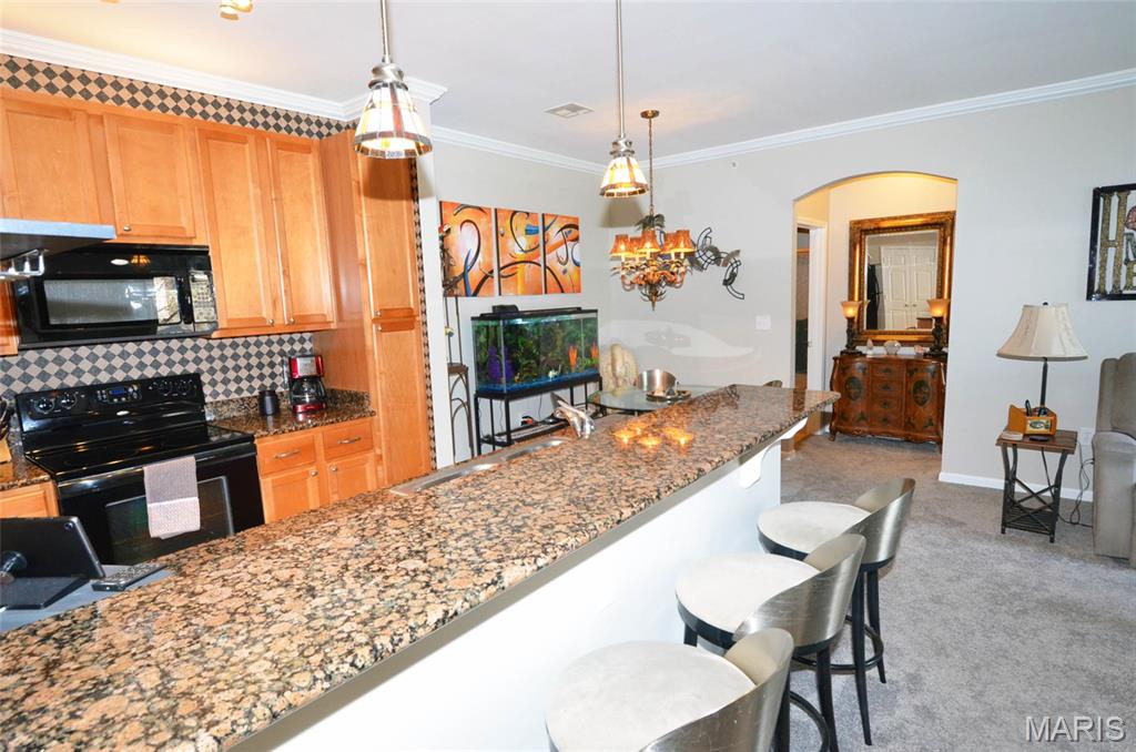 Welcome to this beautifully maintained ground-level condo featuring new carpet and fresh paint (2025), offering a clean, modern feel and move-in-ready convenience. The open layout showcases granite countertops and tall cabinetry, with pullout shelves in both the kitchen and primary bedroom for added functionality and storage. Enjoy a desirable split-bedroom floor plan, providing privacy and comfort, along with walk-in closets for generous storage space. 
Step outside to your private patio with an additional storage closet, perfect for relaxing or organizing outdoor essentials.
This community offers fantastic amenities, including a pool, workout facility, clubhouse, and dog park, everything you need just steps from your door. Even better, the washer, dryer, and refrigerator stay with the home, making this an easy, stress-free move. Don’t miss this opportunity to own a stylish, low-maintenance condo with great amenities!