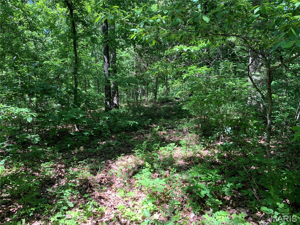 Discover your own private retreat on this beautiful 40± acre wooded property along PCR 842 in the scenic hills of Perry and Ste. Genevieve Counties. Offering a combination of privacy, natural beauty, and recreational appeal, this property is an excellent opportunity for hunters, outdoor enthusiasts, or anyone looking for a peaceful escape from the everyday. The entire tract is wooded, with natural ridges and diverse terrain that provide excellent wildlife habitat and abundant opportunities for hunting and recreation. Whether you're pursuing whitetail deer, exploring the property, enjoying the changing seasons, or simply looking for a quiet place to unplug and reconnect with nature, this property has plenty to offer. With its natural setting and recreational potential, this 40± acre tract provides the freedom to enjoy the outdoors your way. Properties offering this combination of acreage, privacy, and natural beauty are coming increasingly desirable.