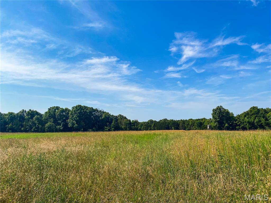 Springview Farms - Farm