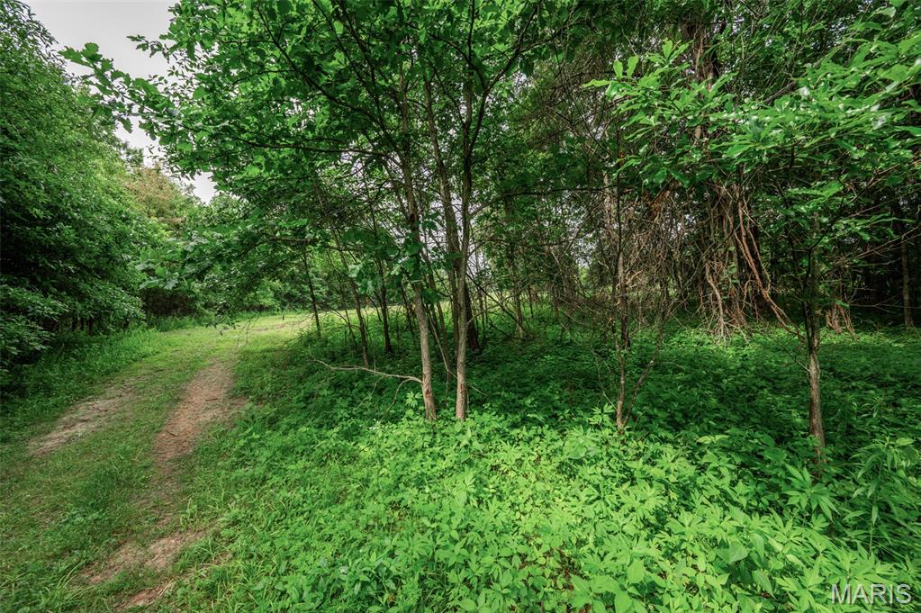 Halyon Estates - Land