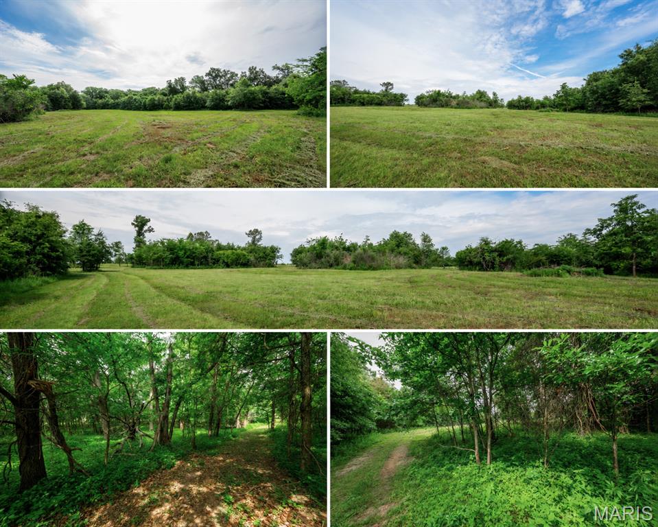 Halyon Estates - Land