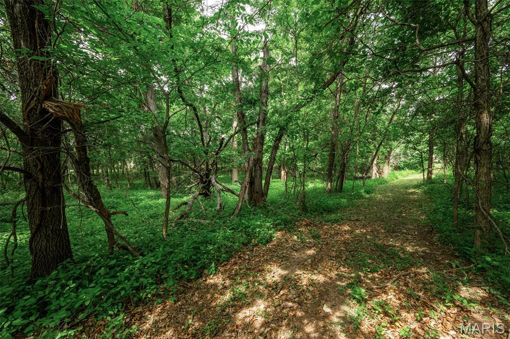 Halyon Estates - Land