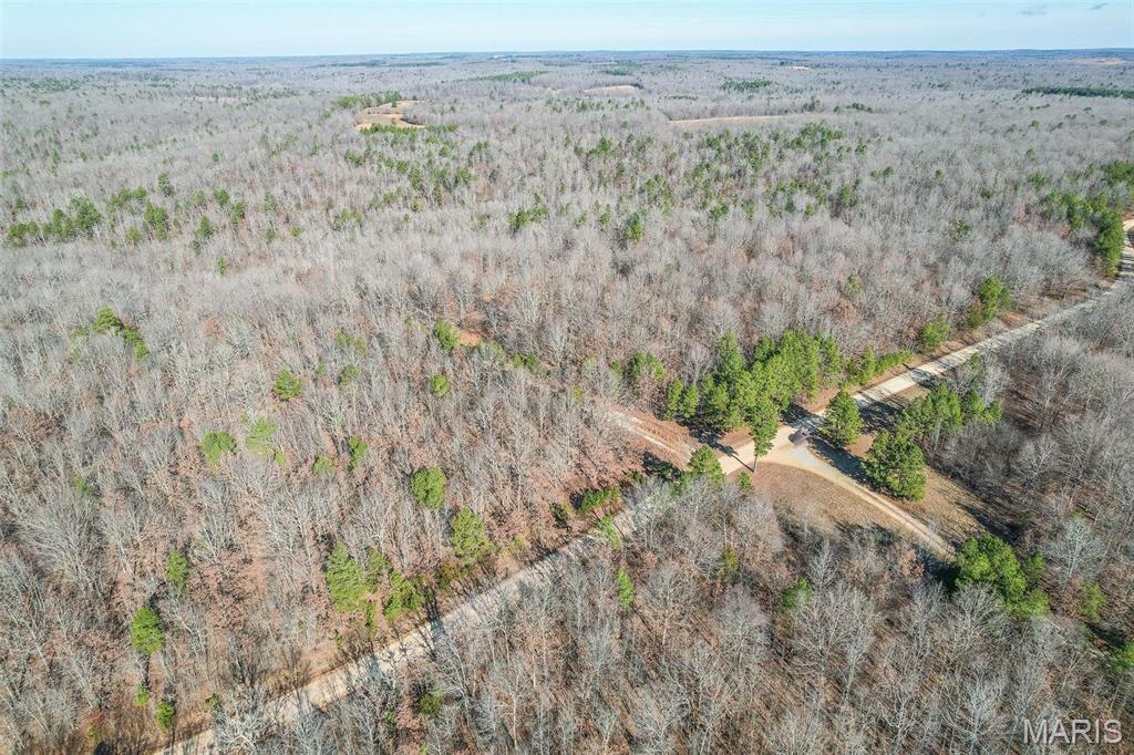 Country living and hunter’s paradise within a stone’s throw of the Little Black. This property is the perfect location for the active outdoorsman or nature enthusiast.  Build your dream home or simply enjoy nature! Gravel drive with cleared building site.