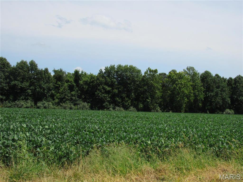 Not in a subdivision - Farm