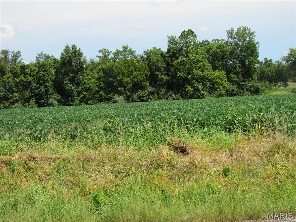 Not in a subdivision - Farm